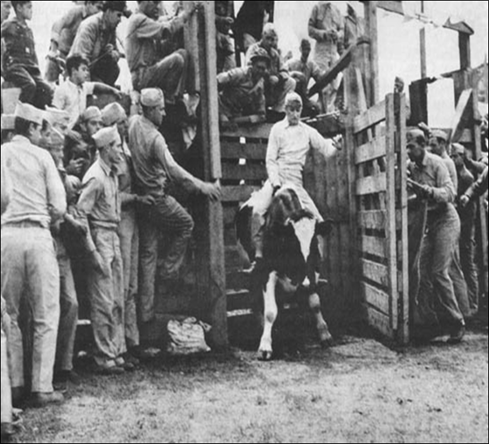 econd Division Rodeo allowed Marines a temporary diversion from storming beaches, although riding wild steers was no easy feat.